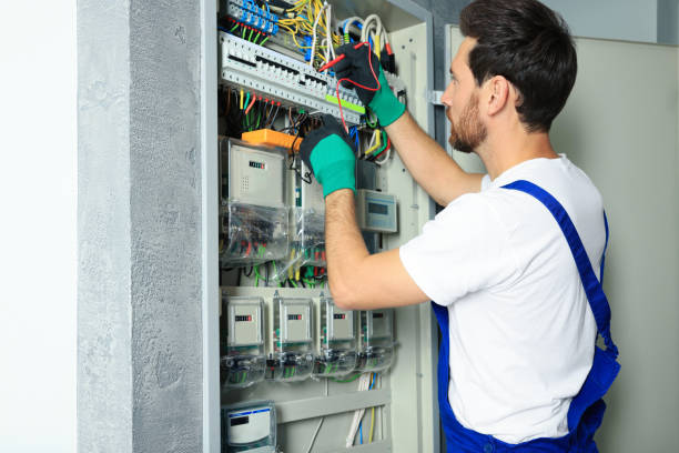 Best Electric Panel Repair  in Wayne, IL