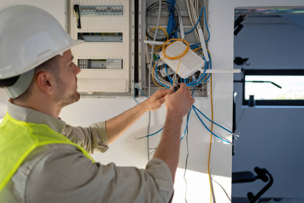 Best Licensed Electrician  in Wayne, IL
